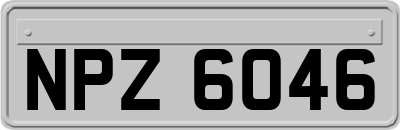 NPZ6046