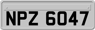 NPZ6047