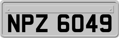 NPZ6049