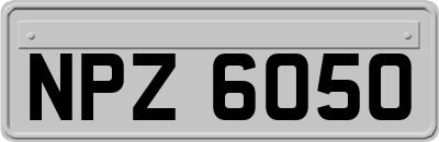 NPZ6050