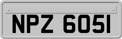 NPZ6051