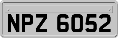 NPZ6052
