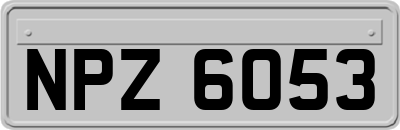 NPZ6053