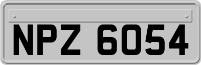 NPZ6054