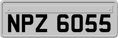 NPZ6055