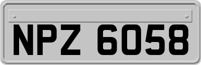 NPZ6058