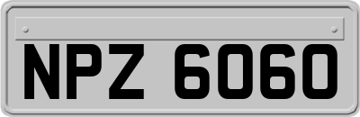 NPZ6060