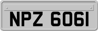NPZ6061