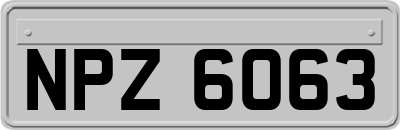 NPZ6063