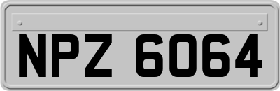 NPZ6064