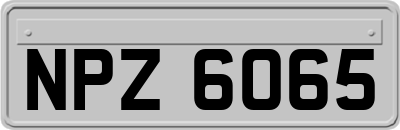 NPZ6065