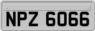 NPZ6066