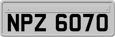NPZ6070