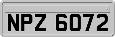 NPZ6072