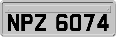 NPZ6074