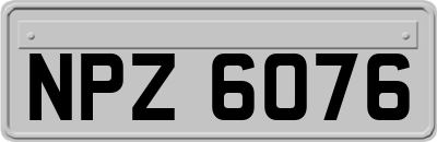 NPZ6076