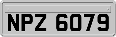 NPZ6079