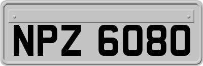 NPZ6080