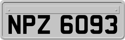 NPZ6093