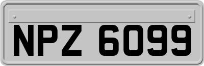 NPZ6099