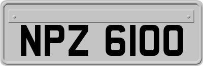 NPZ6100