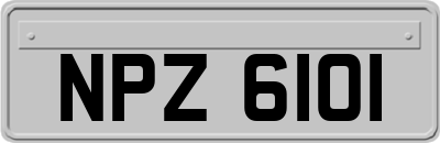 NPZ6101