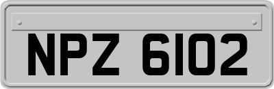 NPZ6102