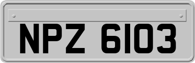 NPZ6103