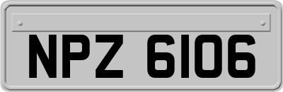 NPZ6106