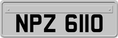 NPZ6110