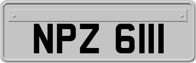 NPZ6111