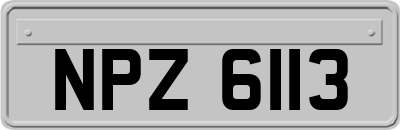 NPZ6113