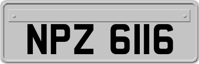NPZ6116