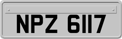 NPZ6117
