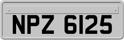 NPZ6125