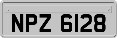 NPZ6128