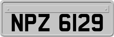 NPZ6129
