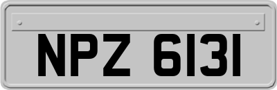 NPZ6131