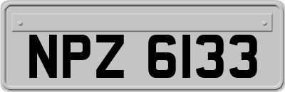 NPZ6133