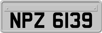 NPZ6139