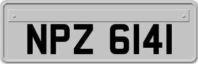 NPZ6141