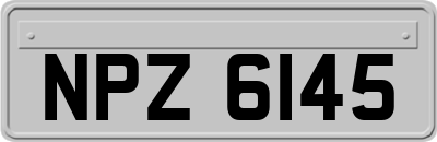 NPZ6145
