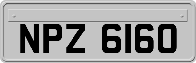 NPZ6160