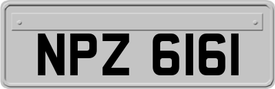 NPZ6161