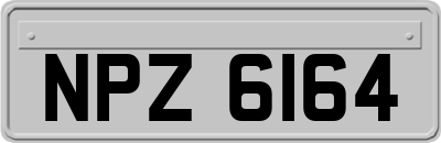 NPZ6164