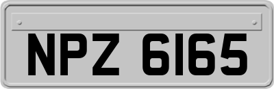 NPZ6165