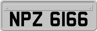 NPZ6166