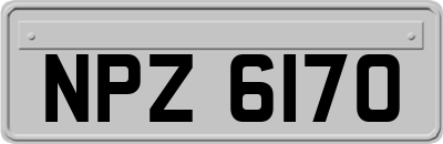 NPZ6170