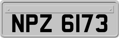 NPZ6173
