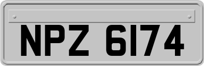 NPZ6174